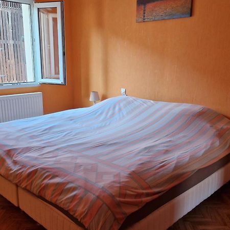 Appartement Le Grillenbreit 콜마 외부 사진