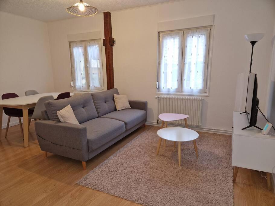 Appartement Le Grillenbreit 콜마 외부 사진